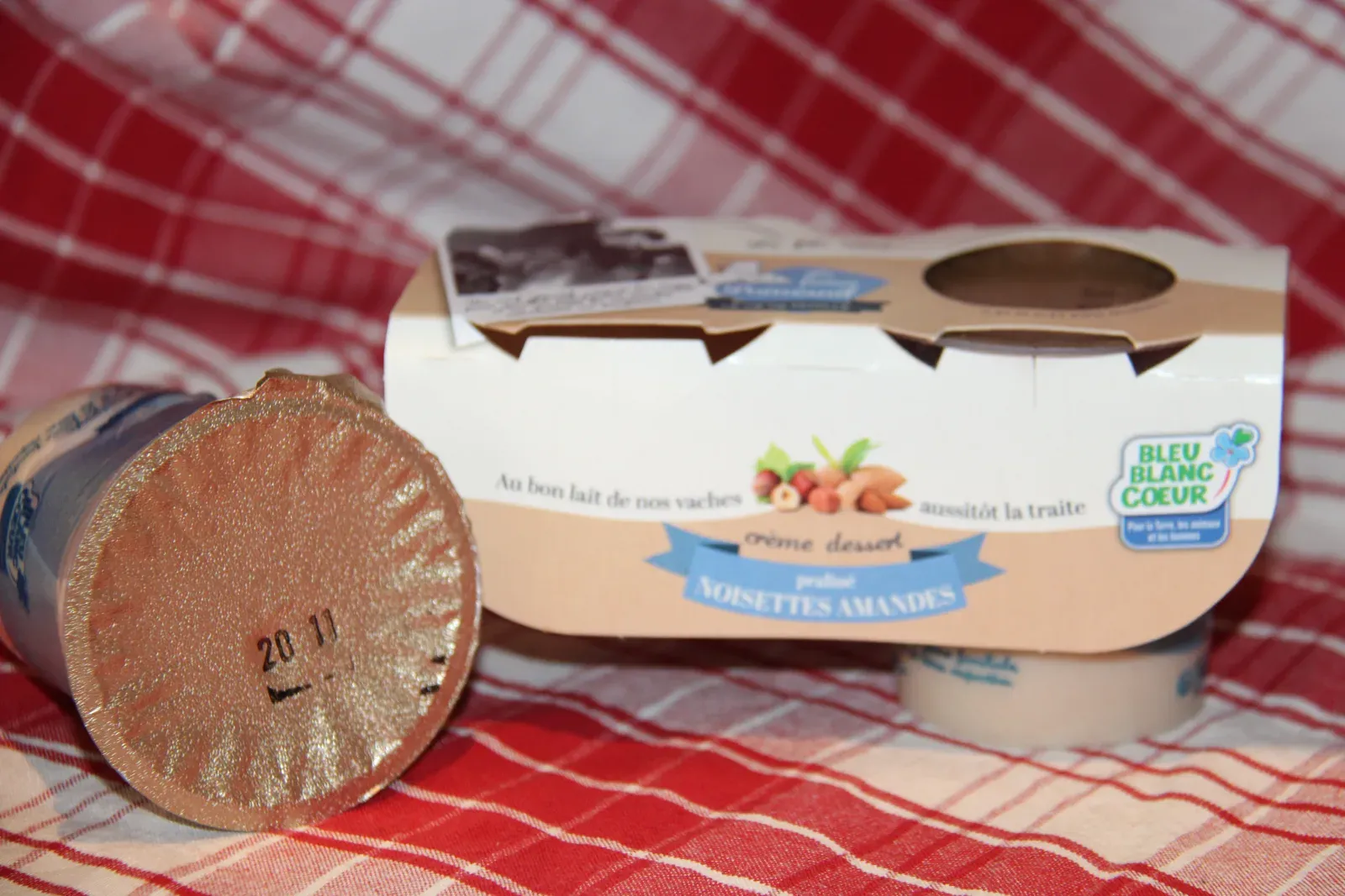 crème dessert praliné